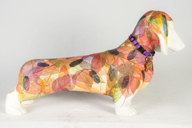 Dog.Art 2017 - Dachshund (34 x 52 x 16 cm)